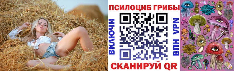Галлюциногенные грибы Cubensis  Власиха 